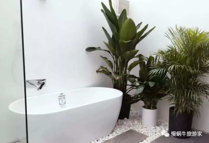 这个南国海岛高铁直达，海鲜超级便宜大人不累、孩子很开心