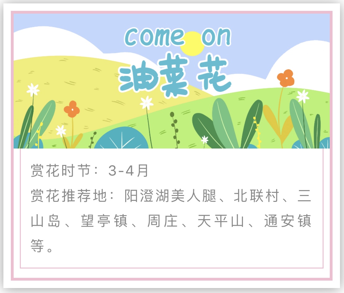 苏州赏花推荐景点有哪些,苏州赏花踏青攻略