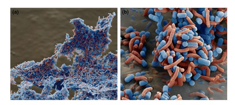 天是蓝的，花是香的，为什么你的屁是臭的？