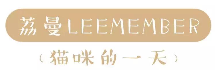 venusmarble九色眼影测评,橘朵的单色眼影新版和旧版对比