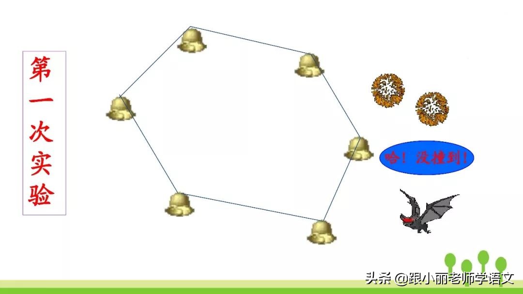 语文思维导图四年级上蝙蝠和雷达,人教版四年级上册蝙蝠和雷达朗读