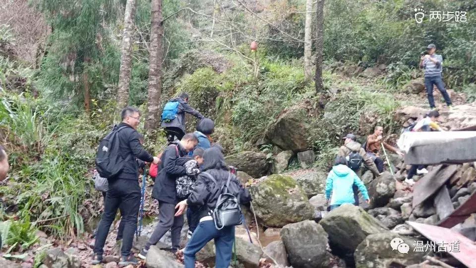 温州茶山红枫古道,浙江温州永嘉红枫古道