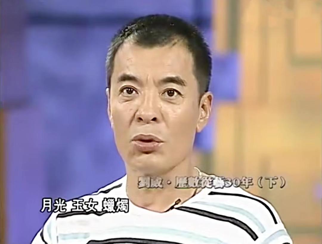 江南美人何晴的狗血情史,廖京生和许亚军合作的电视剧