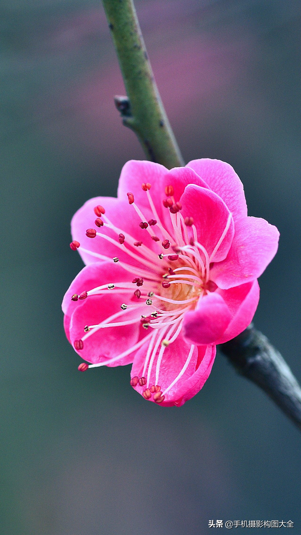 把你的相片做成动态图片,试试你的照片动漫效果