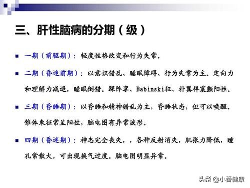 乙肝患者吃什么养肝推荐八种食物,给乙肝病人的护肝食谱