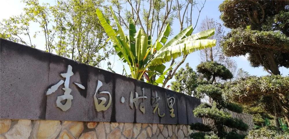 冬天四川旅游十大必去景点,四川冬日旅游景点推荐