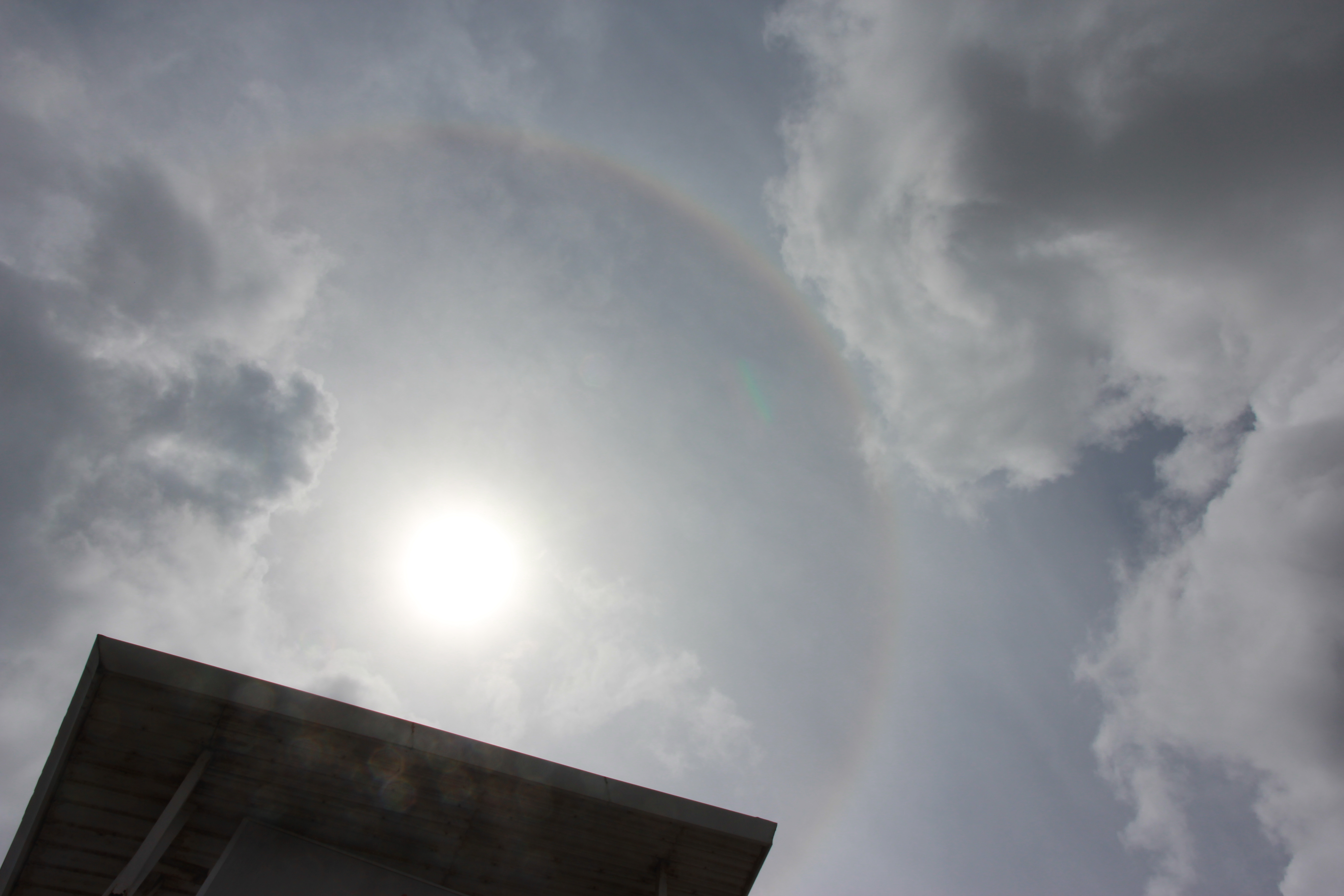 在普吉岛浮潜拍到的美妙海底世界 (普吉岛cape panwa hotel浮潜)