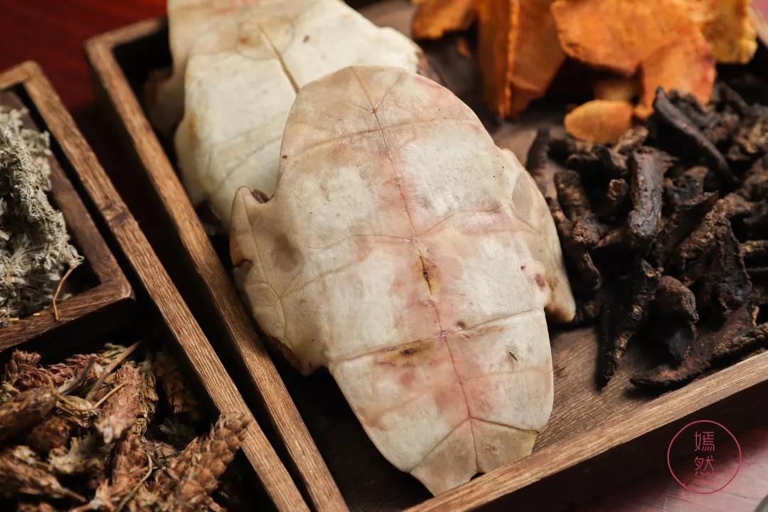 真正有龟的龟苓膏,龟苓膏新发现