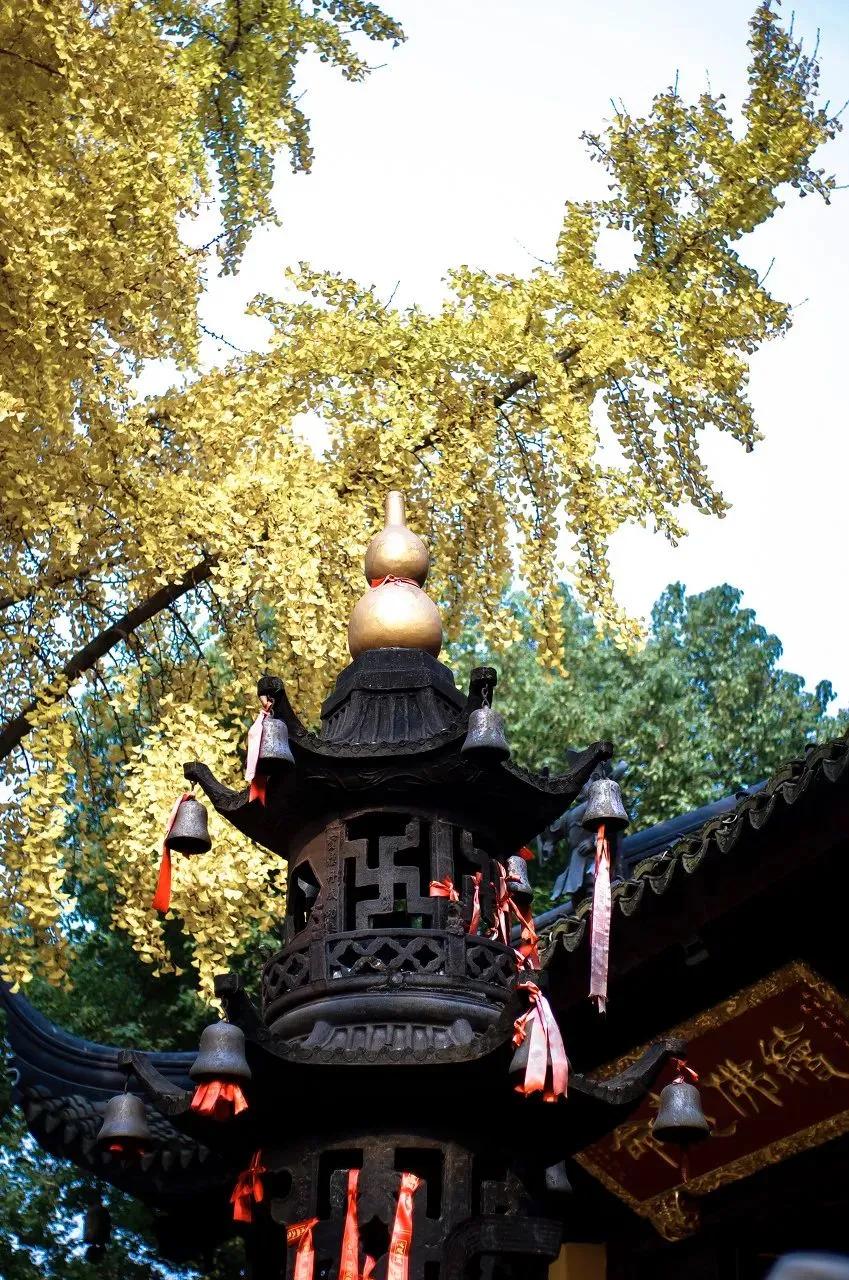 枫叶租车扬州东站店,枫叶租车苏州站店