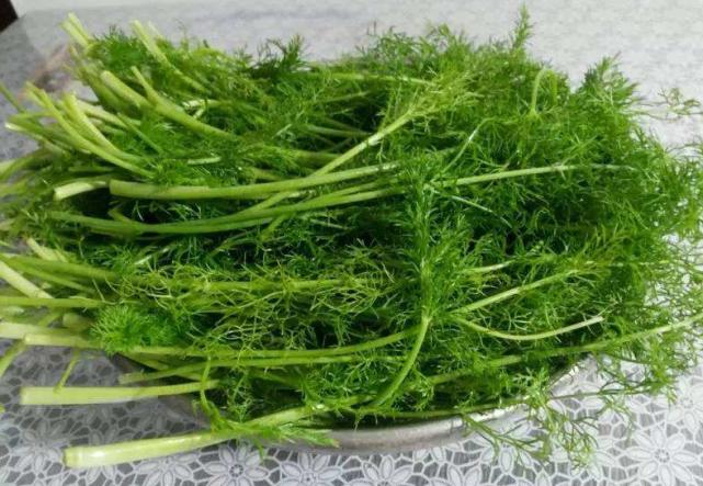 胃炎温中散寒消食健胃食物,胃不好这四种食物一定别再错过