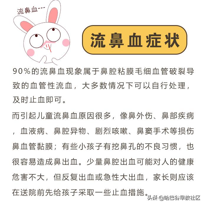 宠物中暑怎么救治它视频,宠物中暑靠喝水自救