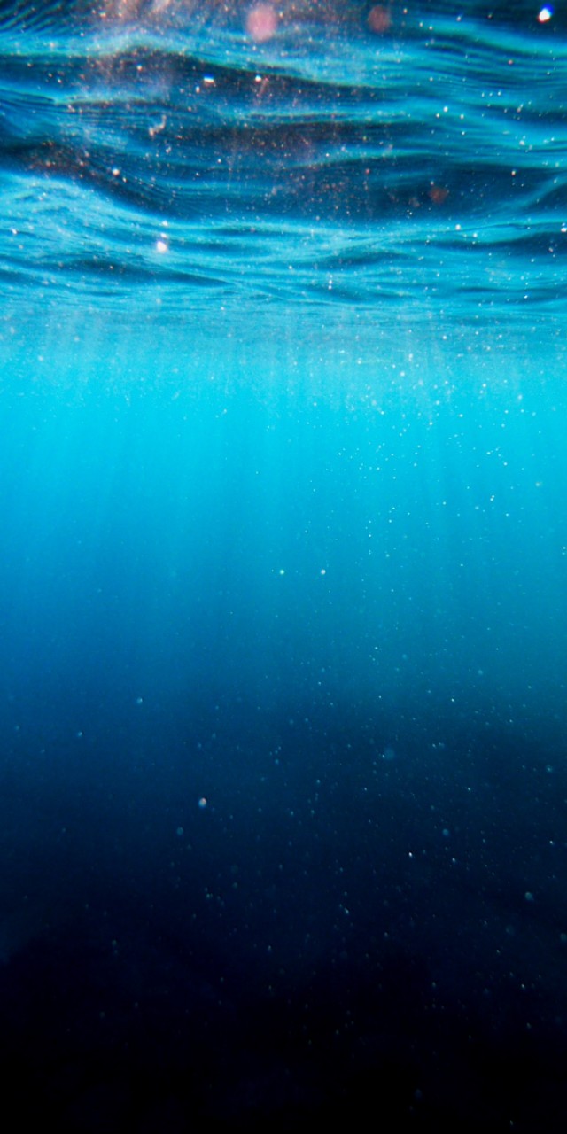 优阿壁纸135期丨分享一组超清晰的海底世界全面屏壁纸