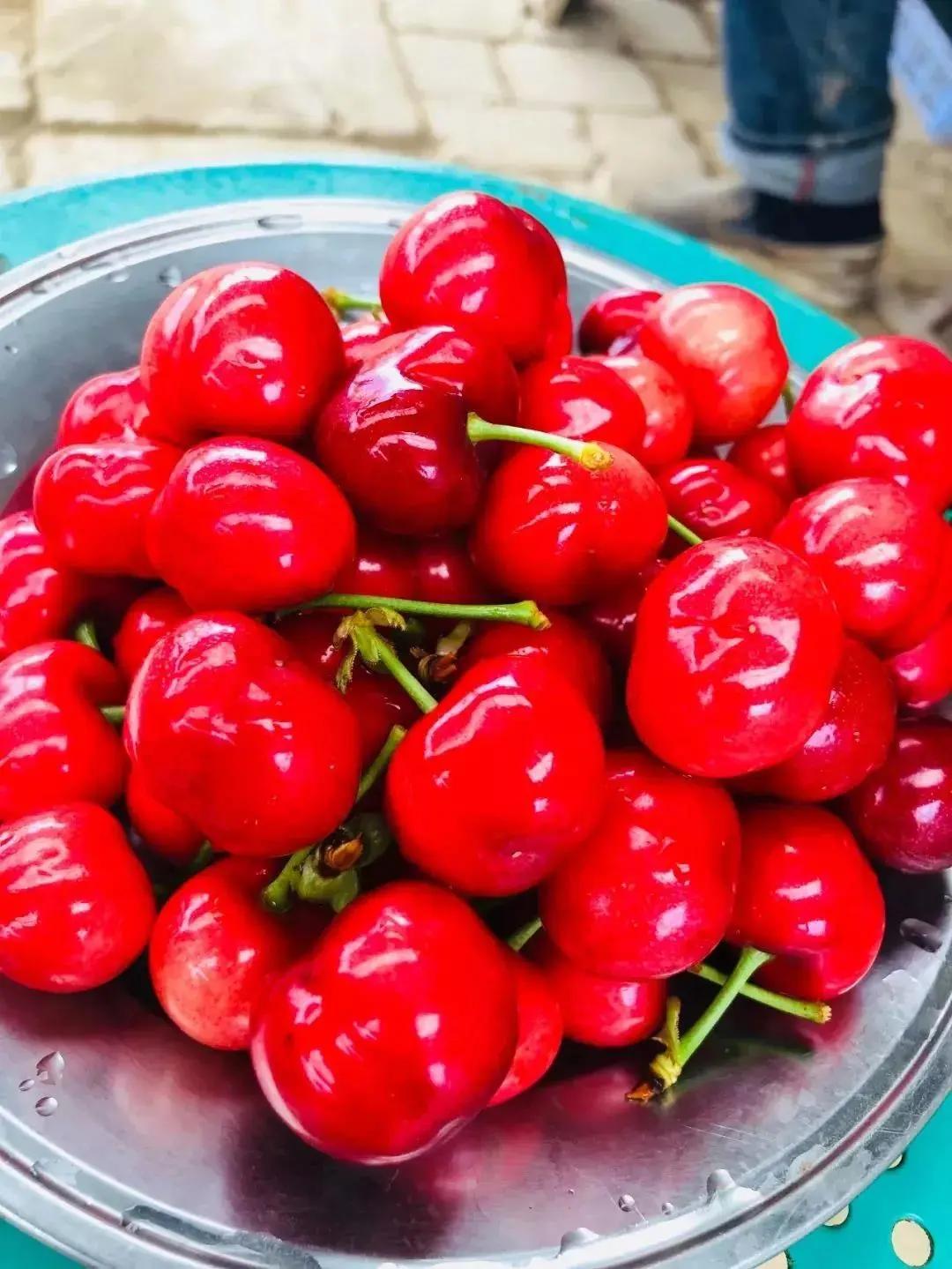 西安西郊摘樱桃最佳地方,长安区附近樱桃采摘的地方