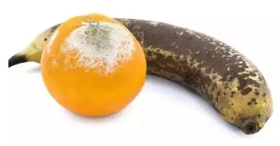 食物烂了一小块切掉还能吃吗,食物坏掉还可以吃吗