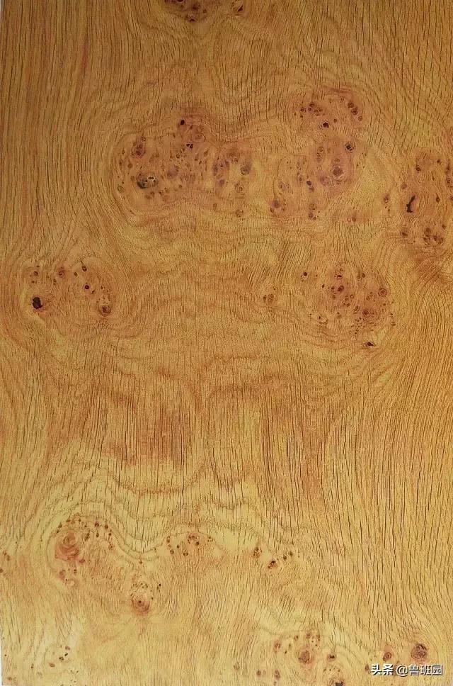 装饰材料木皮有哪些,装饰木皮有哪几种