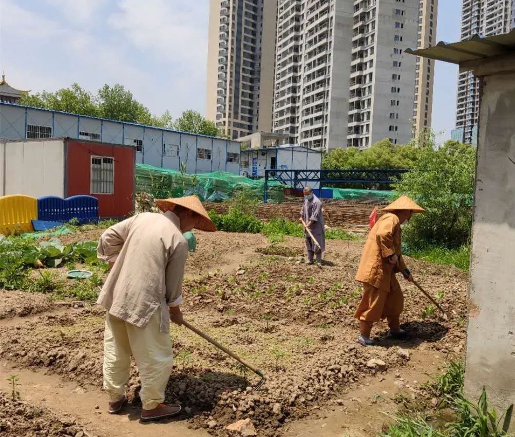 抢抓农时开展农业生产,农民纷纷抢抓春耕生产有利时机