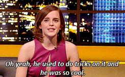 你年少时的白月光是怎么样的,你年少时的白月光怎么样了