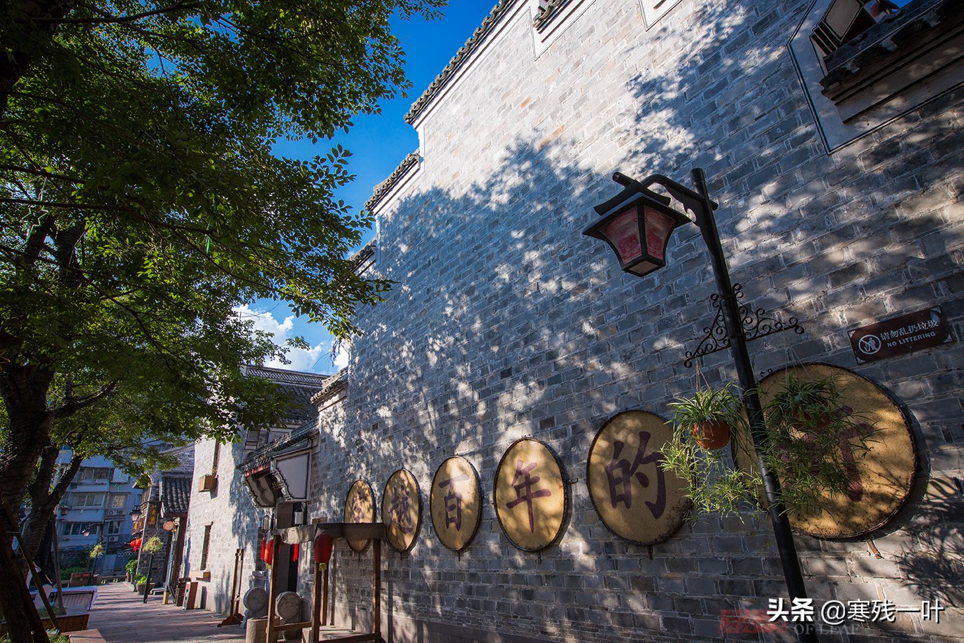 宁波不收门票的景区,宁波值得逛的老街