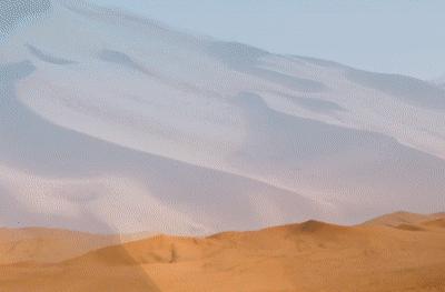 为什么阻止沙漠变成森林,如果沙漠全部变成森林地球会怎样