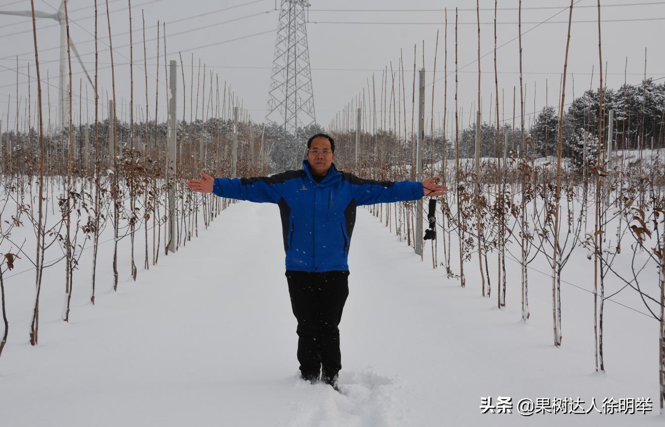 园艺技术出来能做什么,园艺技术需要学习插花吗