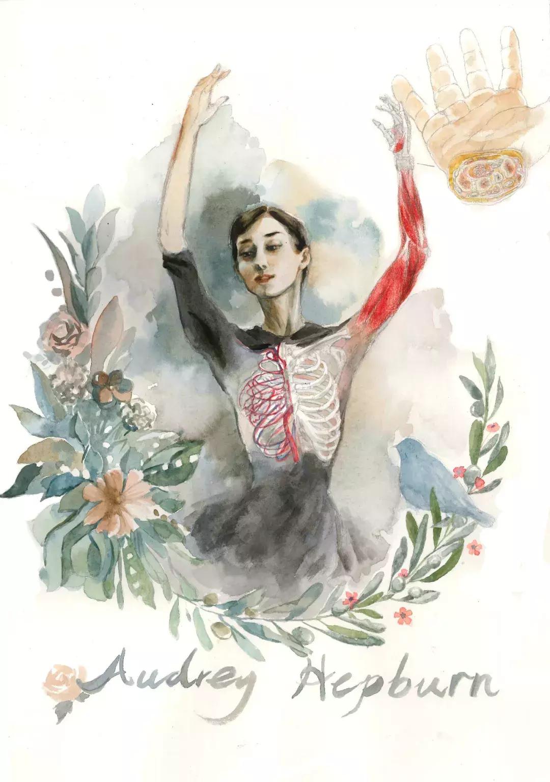 兰大医学生手绘解剖图,南方医科大学学生手绘解剖图