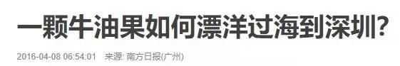 牛油果的健康骗局,牛油果的骗局是真的吗