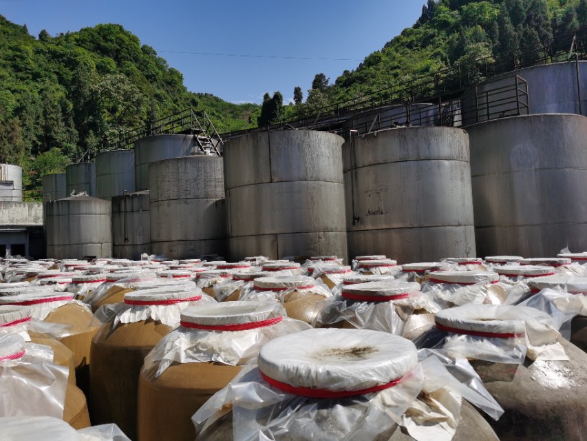 喝完白酒第二天还难受怎么办,喝了白酒头晕乏力