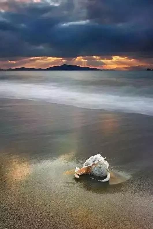 手机摄影入门手机如何拍出好照片,照片怎么拍才好看手机拍摄技巧