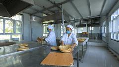 巩留县领导调研,市人大代表到我县开展视察活动