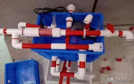 自制生态鱼缸循环系统,自制鱼缸底滤视频教程