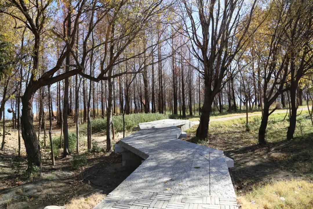 环海西路何时开工,环海路开放时间