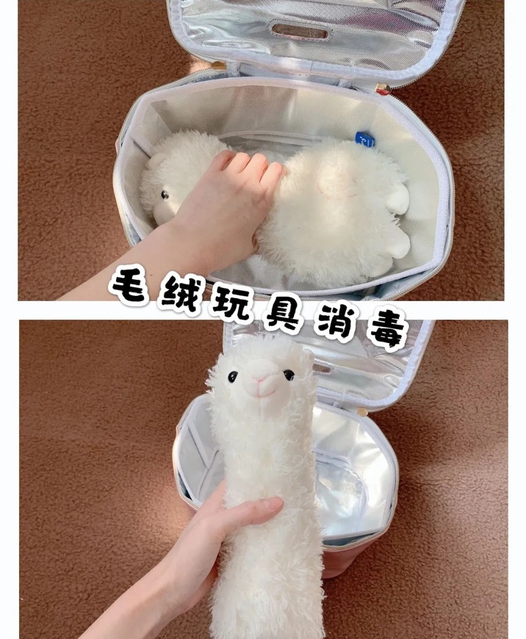 消毒杀菌小能手,小白鼠怎么消毒最有效