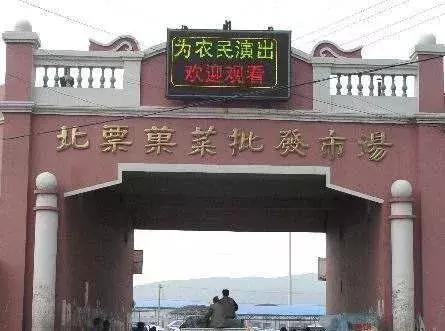 中国蔬菜新鲜批发,中国蔬菜批发市场