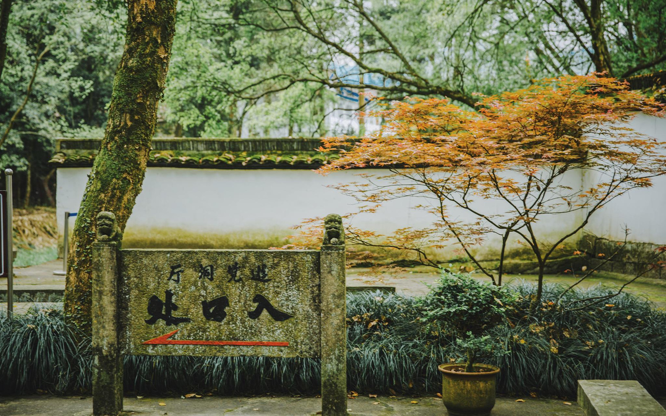 江浙沪藏在桐庐的绿野仙踪,浙江桐庐秘境山水