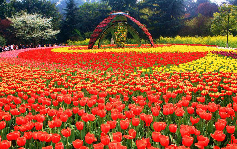 江苏省所辖市有哪些,江苏地级市有多少个县