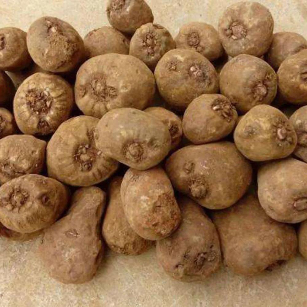 云南稀奇古怪的特产,富源必买的十大特产