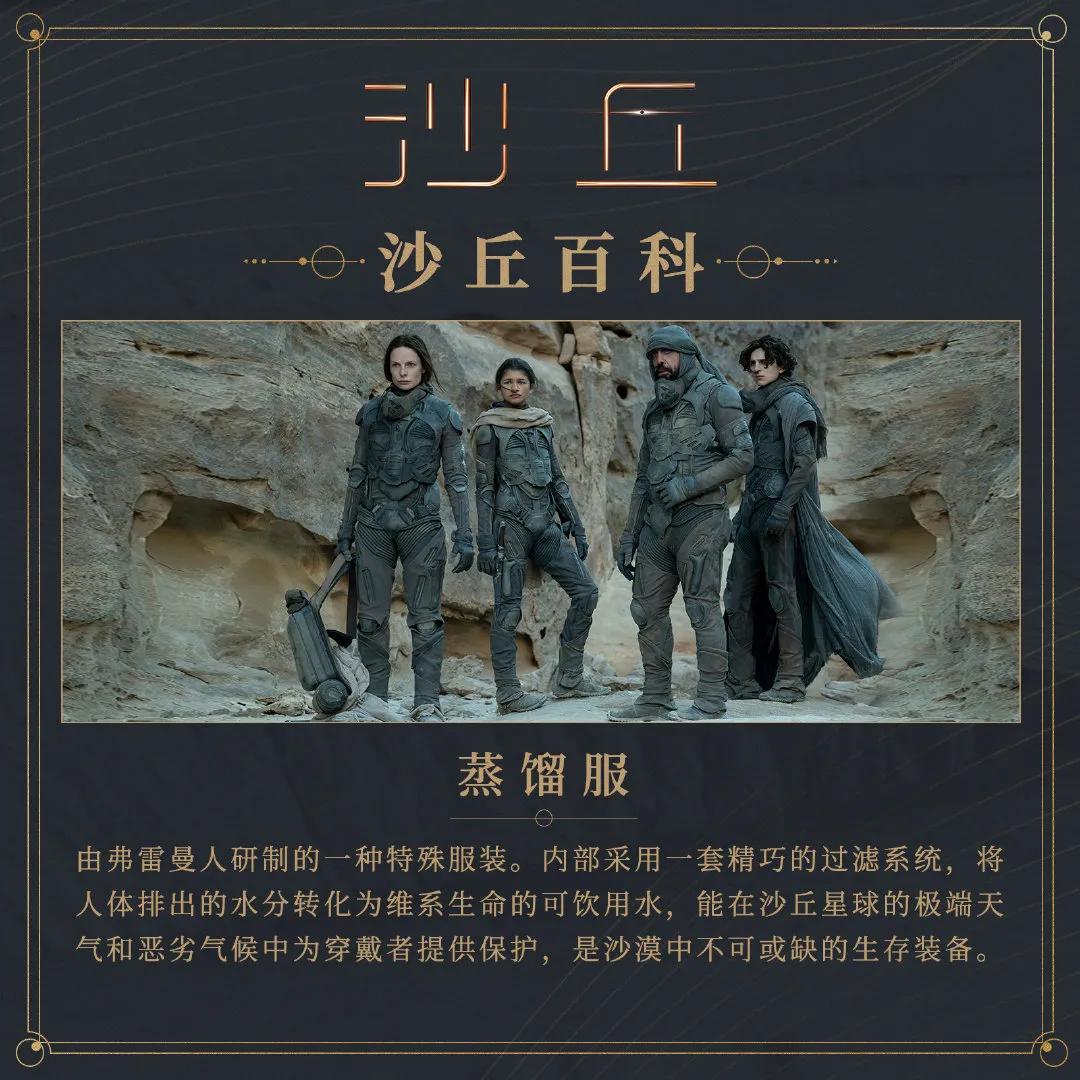 沙漠高级感走秀,沙漠走秀