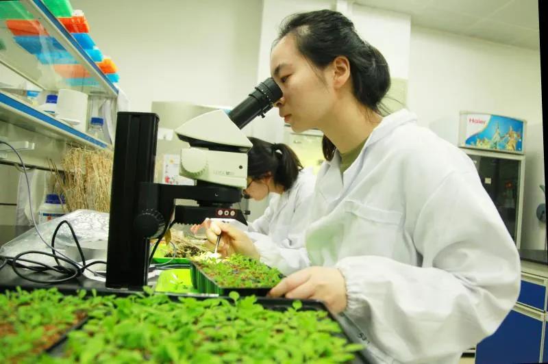 可以转专业的专升本学院,可以轻易转专业的学校