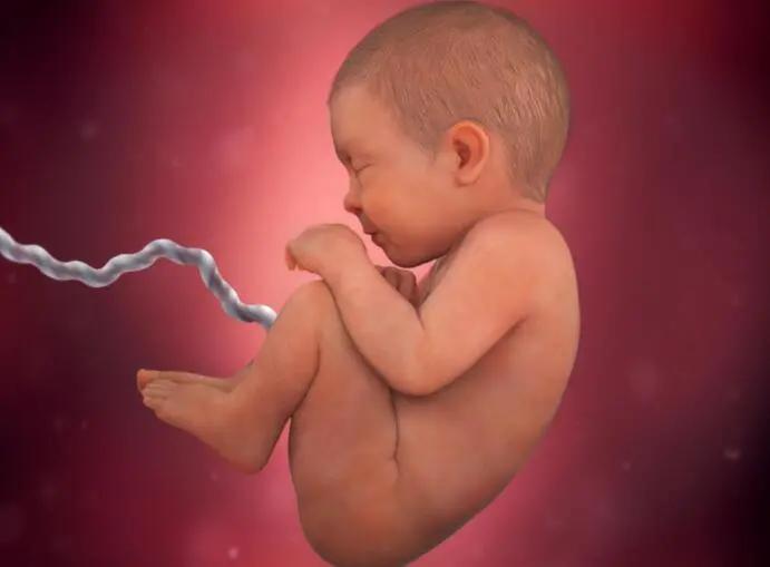 40岁胡杏儿孕照,胡杏儿7个月孕肚大片