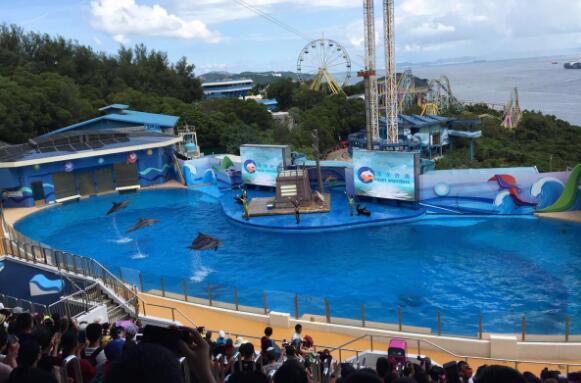 香港旺角十大旅游景点,香港旅游攻略必去十大景点