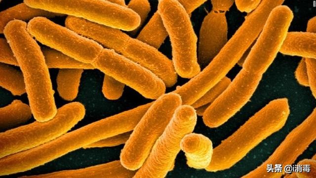 食品菌落总数超标的解决办法,食品企业大肠杆菌超标处罚