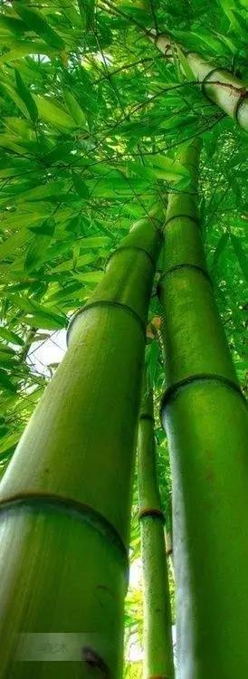 南怀瑾总结自己一事无成,南怀瑾40岁人生低谷是好事