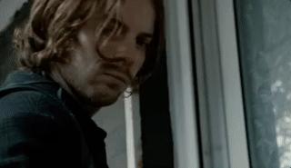 为什么流浪猫鲍勃去世了,流浪猫鲍勃治愈了多少人