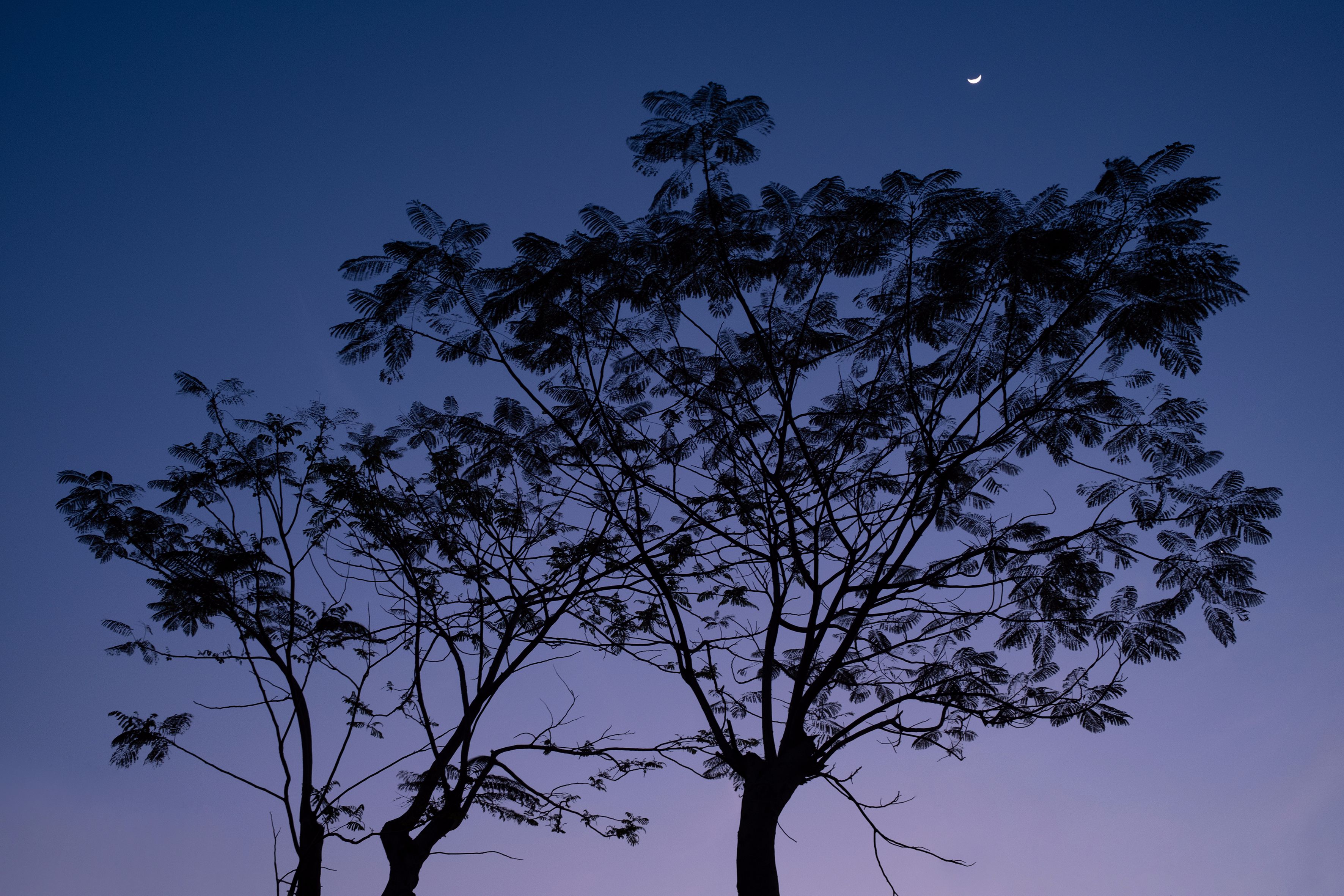 迟到的618好物推荐,618影像神器