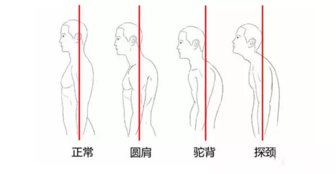 倪妮和周冬雨的差距有多大,倪妮周冬雨动作图片