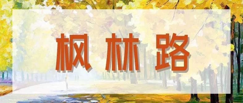 合肥秋季风景打卡地方排行榜,合肥最值得打卡地