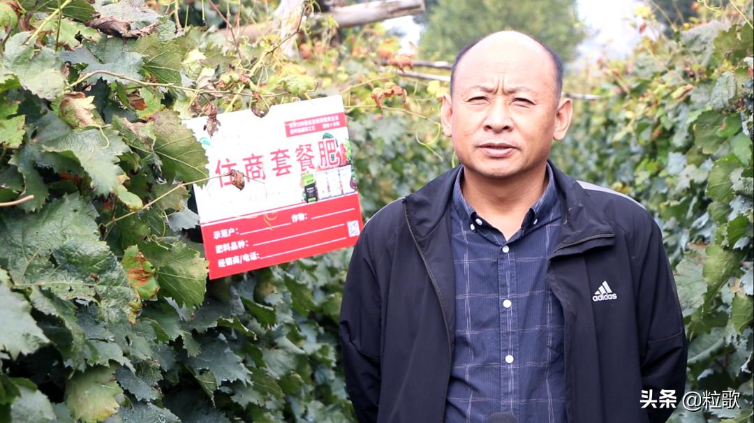 住商中农肥料怎么样,住商肥料助力精品农业