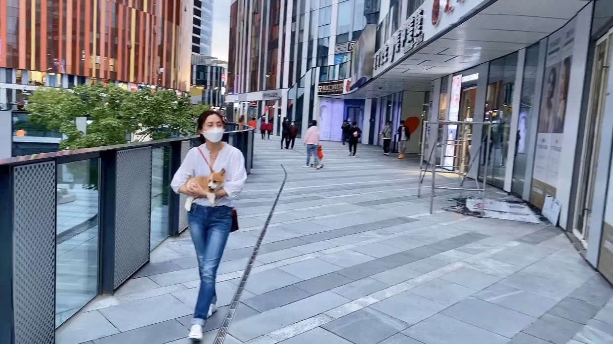 养柯基必须知道的5大注意事项,养柯基前需要知道些什么