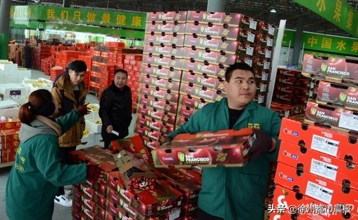 3万张马戏票正在免费送!徐州人速来围观!明起,2020年货大集“放大招”