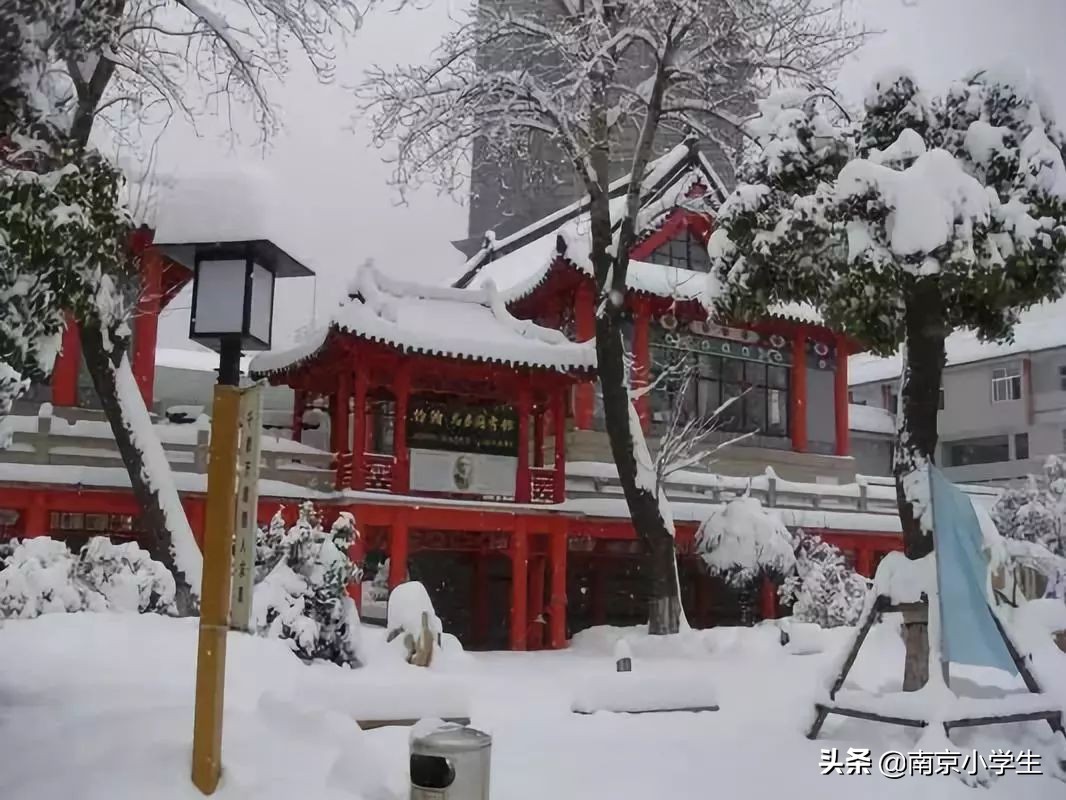 江苏南京的十大名校,南京百年小学排名